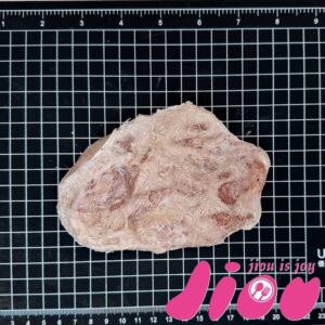 醬燒豬里肌肉排 正宜食品