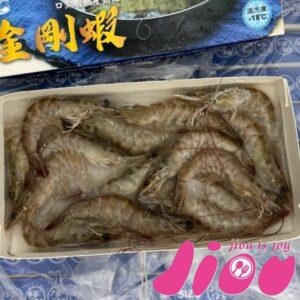 金剛蝦(70\80、80\100、100\120)口湖
