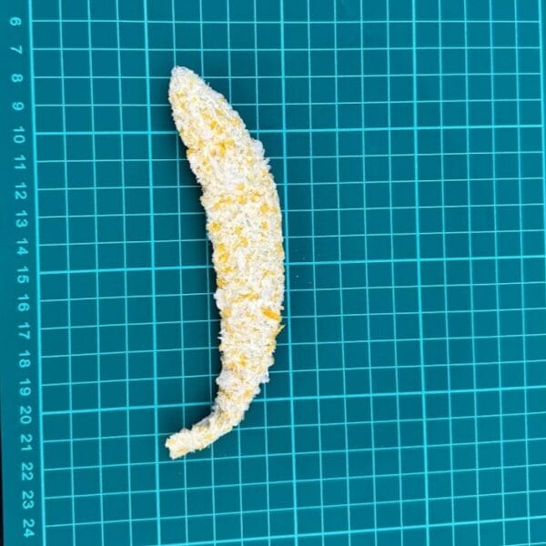 裹粉柳葉魚(有蛋)（3kg\箱）：圖片 2