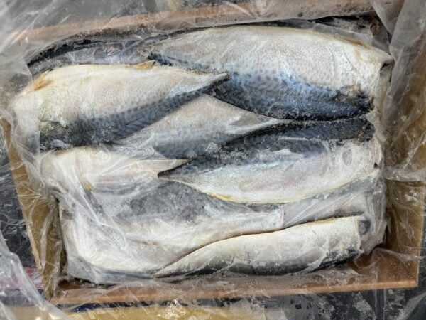 薄鹽鯖魚片|三福：圖片 3