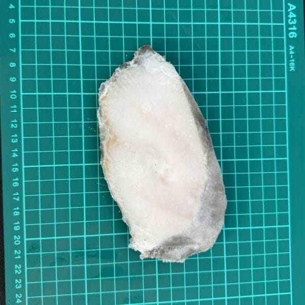 大比目魚切片50/60：圖片 2