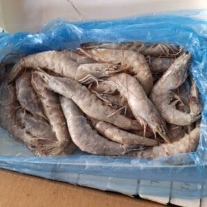 大白蝦｜厄瓜多純海水養殖 3/4